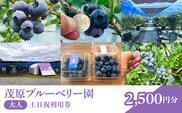 【先行予約】茂原ブルーベリー園　大人　土日祝利用券　2,500円分 MBCA001