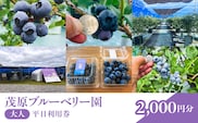 【先行予約】茂原ブルーベリー園　大人　平日利用券　2,000円分 MBCA002
