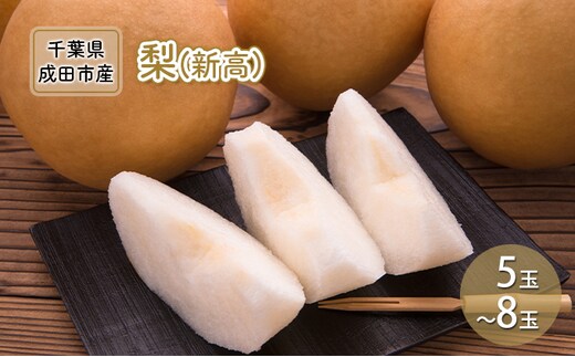 【先行予約】梨 新高 5～8玉 なし ナシ 和梨 果物 くだもの フルーツ 旬のフルーツ 旬の果物 デザート 千葉 千葉県 成田市