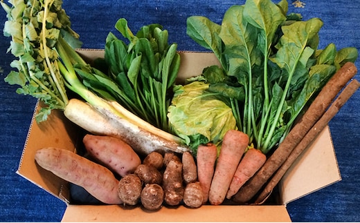 おかげさま農場の野菜のおまかせセット（無化学農薬・肥料栽培） 詰合せ 季節の野菜 詰め合わせ 