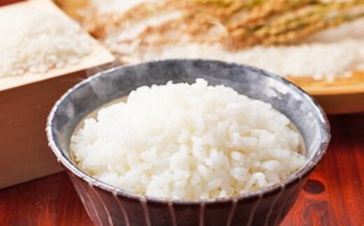 【令和7年度産】伊能歌舞伎米 こしひかり お米 コシヒカリ 5kg 