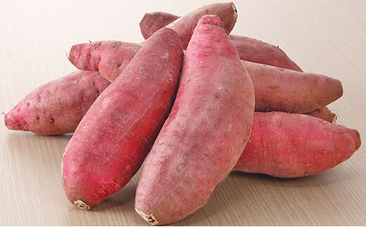 栽培期間中農薬不使用のさつまいも（紅はるか） 野菜 イモ 