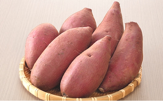 栽培期間中農薬不使用のさつまいも（シルクスィート） 野菜 イモ 