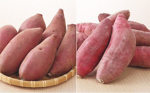 栽培期間中農薬不使用のさつまいも（紅はるか・シルクスィート）食べ比べセット 野菜 イモ 