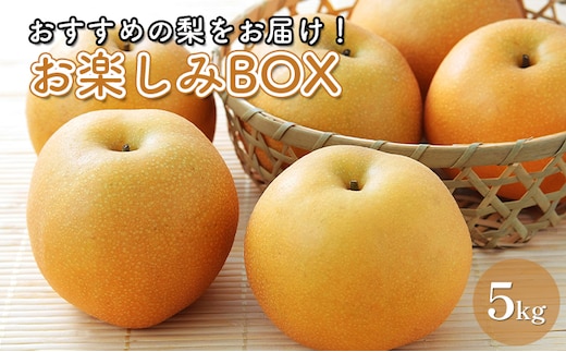 【先行予約】お楽しみBOX おすすめの梨をお届け 梨 7種の中からお任せ セット 詰め合わせ 豊水 秋月 かおり 新星 新高 甘太 にっこり なし ナシ 和梨 果物 くだもの フルーツ 旬のフルーツ 旬の果物 デザート 千葉 千葉県 成田市