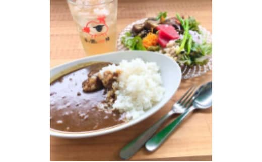 ジビエカレー2人分 惣菜 洋食 レトルトカレー 鹿肉 猪肉 湯煎調理 温めるだけ ランチ お昼ご飯 夕飯 ジビエ料理 