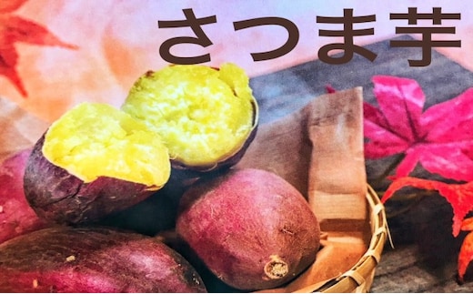 【先行予約】さつまいも（シルクスイート） 野菜 お芋 芋 食材 焼き芋 天ぷら 国産 日本産 