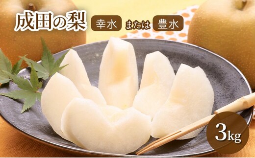 梨 【日時指定不可】 梨（幸水または豊水）3kg フルーツ 果物 なし 先行予約 特産品 旬のフルーツ 千葉県 成田市 