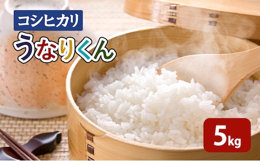 米 【令和7年度産】「コシヒカリ」うなりくん5kg こしひかり コシヒカリ お米 精米 白米 成田市 千葉県