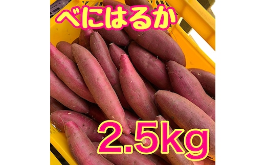 べにはるか2.5kg 紅はるか サツマイモ さつまいも 芋 千葉県 成田市
