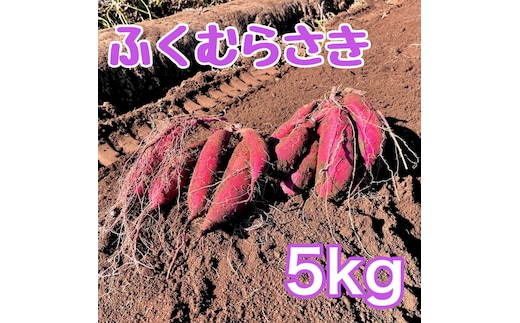 ふくむらさき5kg サツマイモ さつまいも 芋 千葉県 成田市
