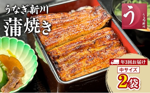 【年3回お届け】定期便 うなぎ新川 蒲焼き（中サイズ）2袋入り 鰻 うなぎ蒲焼 蒲焼 タレ付き うな重 冷凍 成田市 千葉県