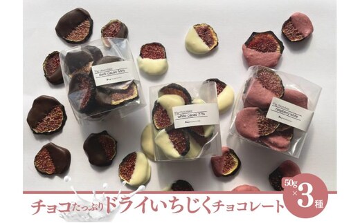 【先行予約】チョコたっぷり！ドライいちじくチョコレート 果物 フルーツ 国産フルーツ ドライフルーツ イチジク ドライイチジク チョコレート ホワイト ダーク ラズベリー 千葉県 成田市