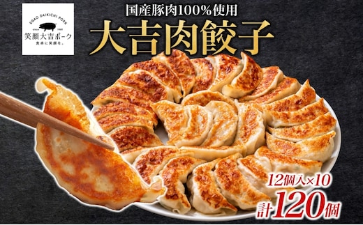 笑顔大吉ポーク 大吉肉餃子 12個入り×10パック 計120個 国産 豚肉 肉餃子 餃子 惣菜 おかず 中華 点心 晩酌 ご飯のお供 手軽 夕食 贈り物 ギフト ご当地 株式会社ヒラノ 千葉県 成田市
