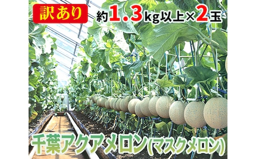 No.062 【約1.3kg以上×2玉】訳あり千葉アクアメロン（マスクメロン）大玉