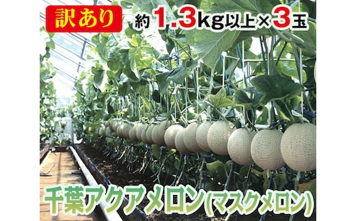 No.071 【約1.3kg以上×3玉】訳あり千葉アクアメロン（マスクメロン）