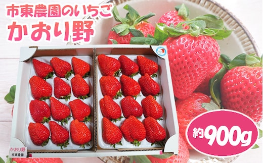 No.074 【市東農園のいちご】かおり野 約900g