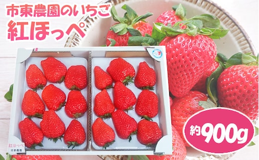 No.077 【市東農園のいちご】紅ほっぺ 約900g