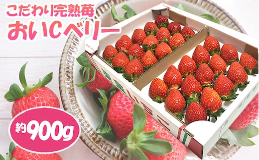 No.154 こだわり完熟苺（おいCベリー）900g