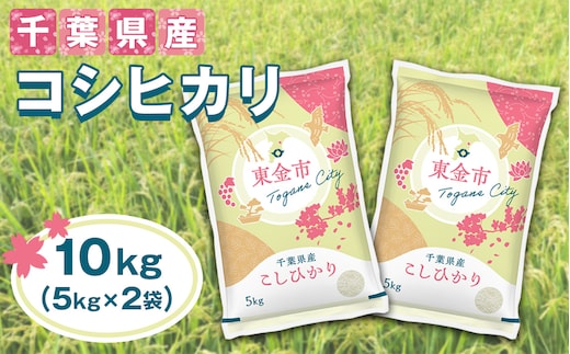 No.231 【令和7年産】千葉県産コシヒカリ10kg（5kg×2袋）