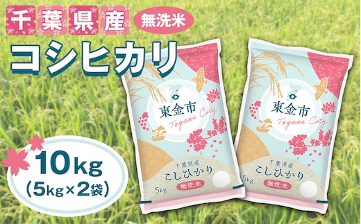 No.232 【令和7年産】千葉県産コシヒカリ10kg無洗米（5kg×2袋）