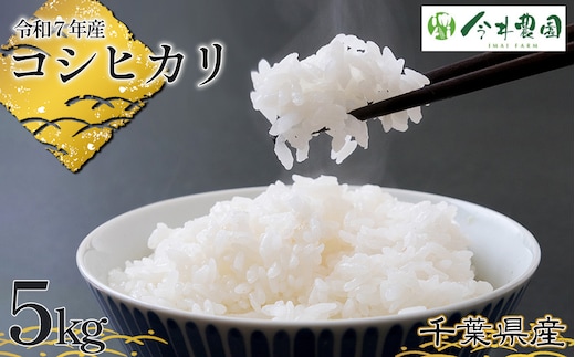 No.302 【令和7年産】千葉県産コシヒカリ（精米）5kg