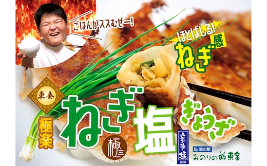 No.345 東金極楽ねぎ塩ぎょうざ5袋セット 20個入×5