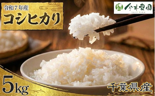 【令和7年産】千葉県産コシヒカリ（精米）5kg