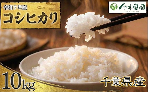 【令和7年産】千葉県産コシヒカリ（精米）10kg