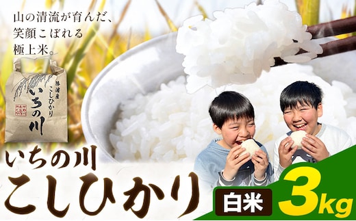 米 こめ コメ 令和7年産 いちの川 コシヒカリ 白米 3kg 市野川米製作所 《30日以内に出荷予定(土日祝除く)》米 ご飯 こしひかり---kastuura_iks_6_3kg---