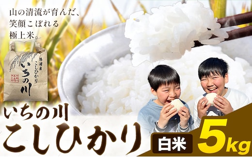米 こめ コメ 令和7年産 いちの川 コシヒカリ 白米 5kg 市野川米製作所 《30日以内に出荷予定(土日祝除く)》米 ご飯 こしひかり---kastuura_iks_7_5kg---