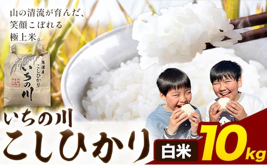 米 こめ コメ 令和7年産 いちの川 コシヒカリ 白米 10kg 市野川米製作所 《30日以内に出荷予定(土日祝除く)》米 ご飯 こしひかり---kastuura_iks_8_10kg---