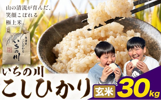 米 こめ コメ 令和7年産 いちの川 コシヒカリ 玄米 30kg 市野川米製作所 《30日以内に出荷予定(土日祝除く)》米 ご飯 こしひかり---kastuura_iks_9_30kg---