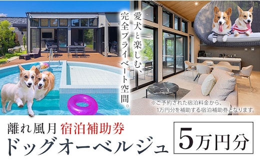 宿泊 離れ 風月 ドッグオーベルジュ 宿泊補助券 5万円分《30日以内に出荷予定(土日祝除く)》離れ 風月 千葉県 勝浦市 ホテル お食事 犬 ワンちゃん わんちゃん ドッグラン ドッグフード ペット 旅行---kastuura_hgt_3---