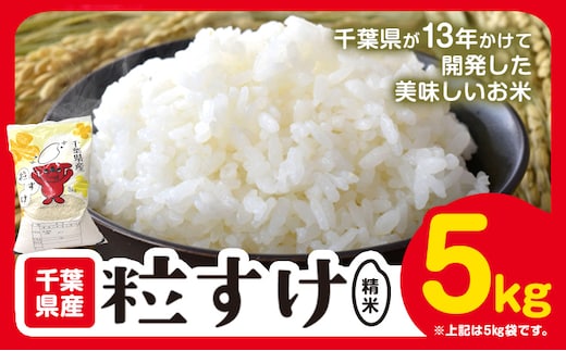 千葉県産 粒すけ 白米 5kg《30日以内に出荷予定(土日祝除く)》御門商店 (有限会社 岩瀬竹次郎商店) 令和8年産 千葉県 勝浦市 米 お米 千葉県産 精米【配送不可地域あり】(離島)---kastuura_iws_8_5kg---