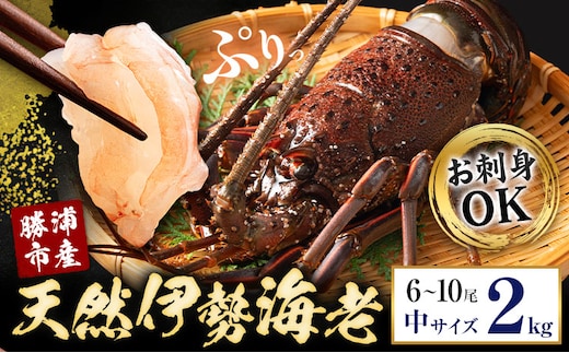 【刺身OK】千葉県勝浦産 生冷活〆 天然伊勢海老 2kg 6-10尾入 株式会社串浜水産《30日以内に出荷予定(土日祝除く)》千葉県 勝浦市 伊勢海老 海老 えび【配送不可地域あり】（離島）【1504522】---kastuura_kshm_5---