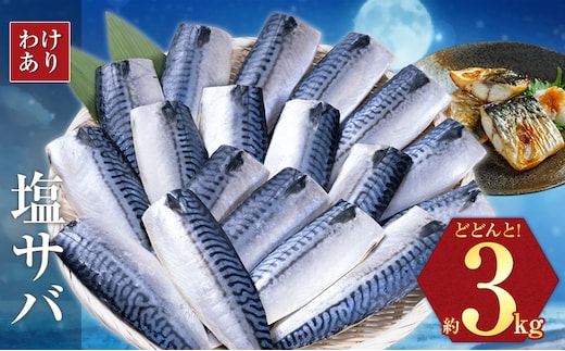 【訳あり】勝浦市の人気 無添加 塩サバ 3kg 株式会社西川《30日以内に出荷予定(土日祝除く)》千葉県 勝浦市 塩サバ 鯖 さば サバ 魚 切り身 無添加 冷凍 訳あり【配送不可地域：離島】2506---kastuura_nsk_4---