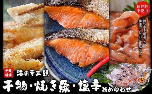 干物・焼魚・塩辛セット 4~6種10枚 株式会社鈴八フーズ 《30日以内に出荷予定(土日祝除く)》【配送不可地域：離島】塩辛100gさばの塩焼き さけの塩焼き 干物 アジ カレイ 金目鯛 イカ ホッケ 鯛 さば 赤魚 さんま エボ 鯛 カサゴ カマス---kastuura_szh_1---