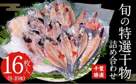 旬の特選干物セット 8-10種16枚 株式会社鈴八フーズ 《30日以内に出荷予定(土日祝除く)》【配送不可地域：離島】さんま アジ 小アジ 金目鯛 イカ カマス 赤魚 さば エボ鯛 鯛 カレイ ホッケ---kastuura_szh_4---