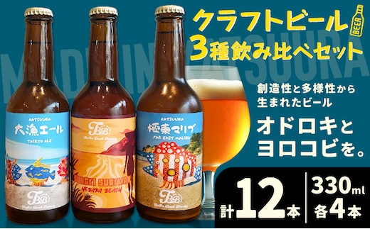 クラフトビール 3種 飲み比べセット 瓶330ml 12本 千葉県 勝浦市 にある 醸造所より 直送 MAXIMUS.WORK 株式会社《30日以内に出荷予定(土日祝除く)》千葉県 勝浦市 クラフトビール ビール 飲み比べ【配送不可地域：離島】---kastuura_tbb_2---