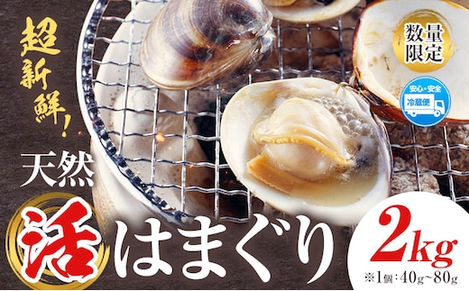 数量限定 天然 活 はまぐり 2kg 1個:40g～80g 寺田水産 《30日以内に出荷予定(土日祝除く)》千葉県 勝浦市 海産 貝 はまぐり【配送不可地域：離島・北海道・沖縄県・東北・中国・四国・九州】---kastuura_trd_6---