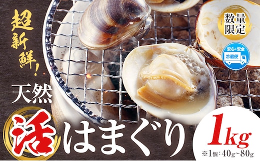 数量限定 天然 活 はまぐり 1kg 1個:40g～80g 寺田水産 《30日以内に出荷予定(土日祝除く)》千葉県 勝浦市 海産 貝 はまぐり【配送不可地域：離島・北海道・沖縄県・東北・中国・四国・九州】---kastuura_trd_7---