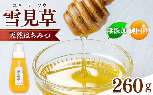 国産 はちみつ 雪見草はちみつ 260g チューブ入り 養蜂家 齊藤兄弟 Bee concierge ビーコンシェルジュ | はちみつ 蜂蜜 ハチミツ 雪見草はちみつ 天然蜂蜜 国産蜂蜜 新鮮 オススメ 千葉県 君津市 きみつ