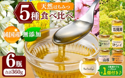 国産 はちみつ ５種 ６瓶 食べ比べセット 養蜂家 齊藤兄弟 Bee concierge ビーコンシェルジュ | はちみつ 蜂蜜 ハチミツ 天然蜂蜜 国産蜂蜜 食べ比べ 詰合せ セット 新鮮 オススメ 千葉県 君津市 きみつ