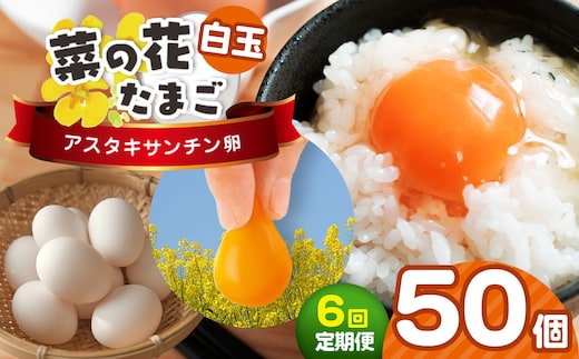 《全6回定期便》新鮮 君津市産 菜の花エッグ アスタキサンチン卵白玉50個入り 菜の花たまご | 早く届く すぐ すぐ発送 卵 たまご タマゴ 玉子 定期便 白 卵かけご飯 お菓子作り 新鮮 オススメ 千葉県 君津市 きみつ