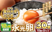 【 定期便 12回 】2週間以内に発送 メディア紹介多数！ おいしいたまご 永光卵 30個 | えいこうらん 光永ファーム 卵 たまご 定期便 定期 3回 君津市産 千葉 君津 きみつ