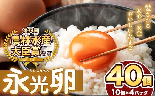 2週間以内に発送 メディア紹介多数！ おいしいたまご永光卵 40個 えいこうらん 光永ファーム 卵 たまご 君津市産 | たまご 卵 タマゴ 玉子 永光卵 卵かけご飯 お菓子作り 新鮮 オススメ 千葉県 君津市 きみつ