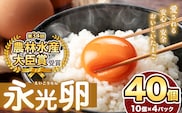 2週間以内に発送 メディア紹介多数！ おいしいたまご永光卵 40個 えいこうらん 光永ファーム 卵 たまご 君津市産 | たまご 卵 タマゴ 玉子 永光卵 卵かけご飯 お菓子作り 新鮮 オススメ 千葉県 君津市 きみつ