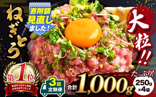 【定期便3回】大人気！ねぎとろ（ 250g × 4袋 ）合計 1000g 清幸丸水産 | ネギトロ とろ 鮪 海鮮 魚介 魚 人気 小分け 人気 定番 ご飯 オススメ | 千葉県 君津市