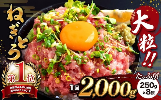 清幸丸水産 大人気！ねぎとろ（250g×8袋）合計2000g | ネギトロ トロ 鮪 マグロ なめらか まろやか ねぎとろ 丼 手巻き 寿司 ネギトロ 丼 千葉県 君津市 君津 きみつ